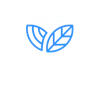 Layup eLearning