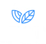 Layup eLearning